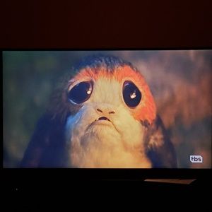 Meet your Posher, Tracey